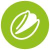 Pistachio