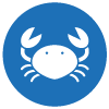Crustaceans